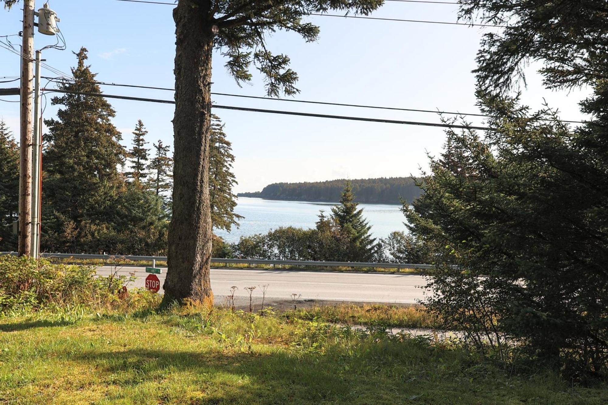The Rogue Wave-Beach Access, Ocean Views, Private Kodiak Eksteriør billede